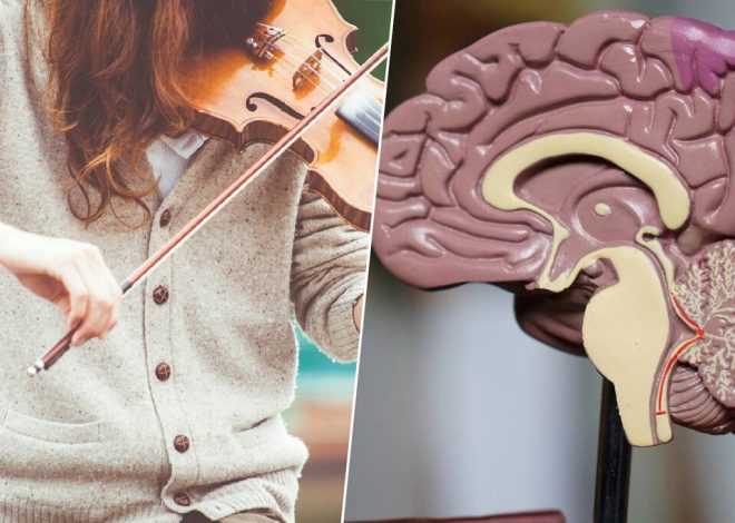 Hay personas a las que no les gusta la música y la ciencia ya sabe el porqué: un ‘cortocircuito’ en el cerebro